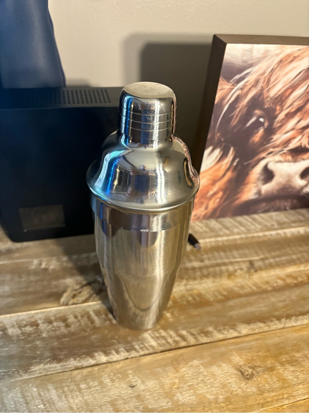 Stainless Steel Cocktail Shaker - Silver 24 oz